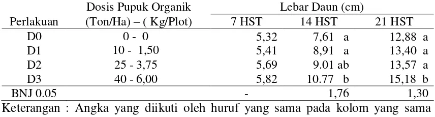 Tabel 10. Rata-rata Lebar Daun Tanaman  Sawi Umur  7, 14 dan 21 HST pada berbagai Perlakuan Dosis Pupuk Organik