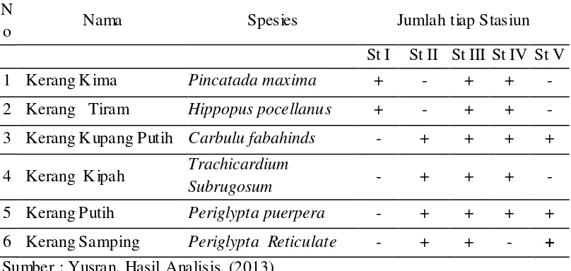 Tabel 4 : Nama, Spesies dan jumlah Kerang (Bivalvia)