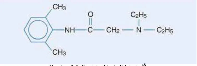 Gambar 2.5. Struktur kimia lidokain.48 