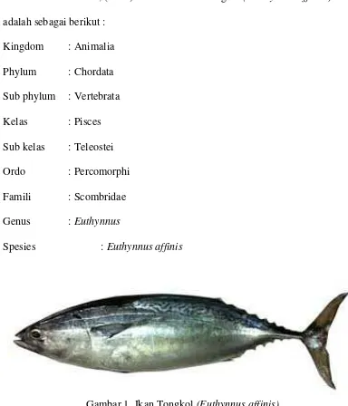 Gambar 1. Ikan Tongkol (Euthynnus affinis)