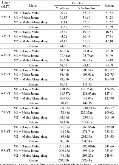 Tabel 1.Rataan tinggi tanaman (cm) terhadap varietas dan mulsa pada umur 2-9 MST. 