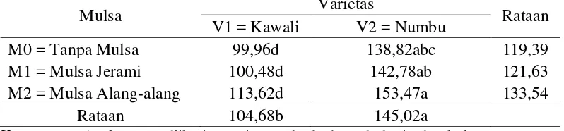 Tabel 5.Rataan berat biji malai per sampel (g) terhadap varietas dan mulsa. 