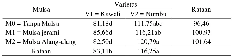 Tabel 6.Rataan produksi per sampel (g) terhadap varietas dan mulsa. 