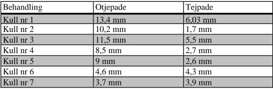 Tabell 6: Genomsnitt sårdiameter per knä/ kull (Gård B) 