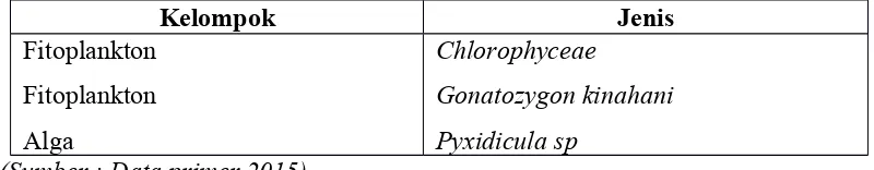 Tabel 2 Jenis  makanan ikan serukan (Osteochillus sp)