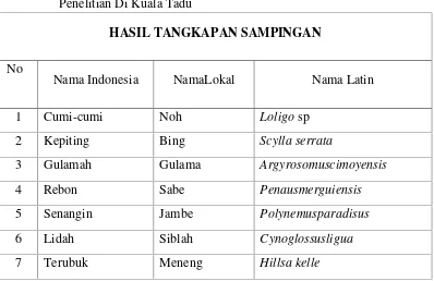 Tabel 9. Jenis dan ukuran hasil tangkapan sampinganPukat Hela SelamaPenelitian Di Kuala Tadu