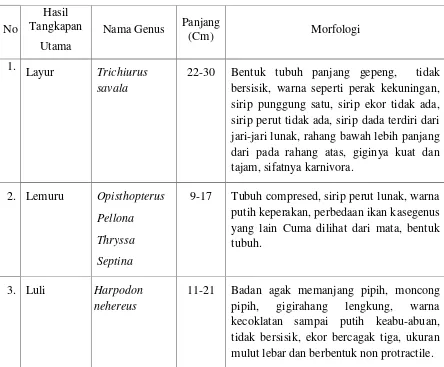 Tabel 10. Morfologi Ikan Hasil Tangkapan Utama Selama Penelitian Di Kuala