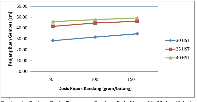 Gambar 6. Panjang Buahi TanamanGambas Pada Umur 30, 35 dan 40 hariSetelah Tanam Pada Berbagai Dosis Pupuk Kandang