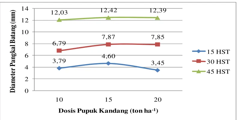 Gambar 2. Diameter Pangkal Batang Tanaman Terung pada Berbagai DosisPupuk Kandang Umur 15, 30 dan 45 HST