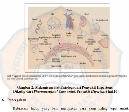Gambar 2. Mekanisme Patofisiologi dari Penyakit Hipertensi
