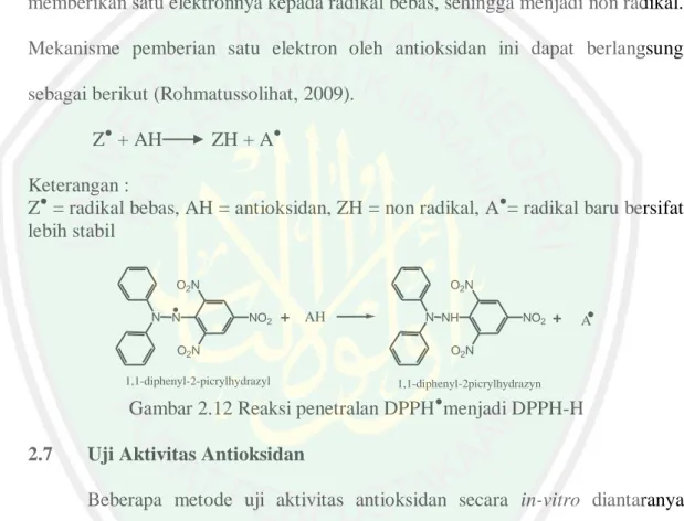 Gambar 2.12 Reaksi penetralan DPPH ● menjadi DPPH-H  2.7  Uji Aktivitas Antioksidan 