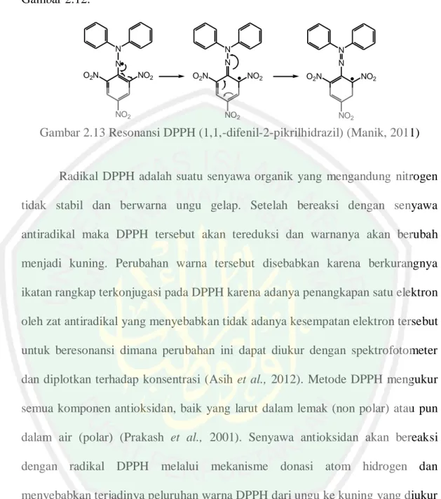 Gambar 2.13 Resonansi DPPH (1,1,-difenil-2-pikrilhidrazil) (Manik, 2011) 