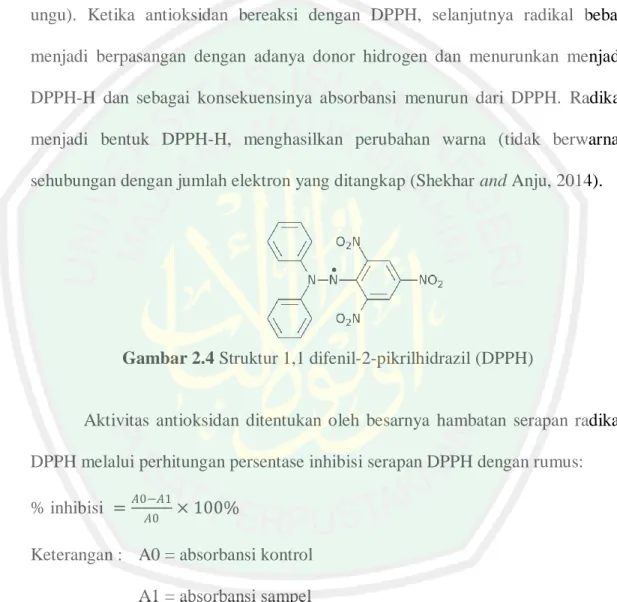 Gambar 2.4 Struktur 1,1 difenil-2-pikrilhidrazil (DPPH)  