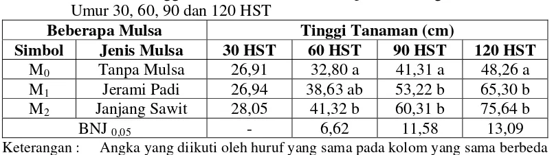 Tabel 2. Rata-rata Tinggi Tanaman Jahe Merah pada Berbagai Jenis Mulsa Umur 30, 60, 90 dan 120 HST 