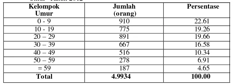Tabel 6. Karakteristik Penduduk Kecamatan Kuala Berdasarkan Kelompok                   Umur  Tahun 2012 