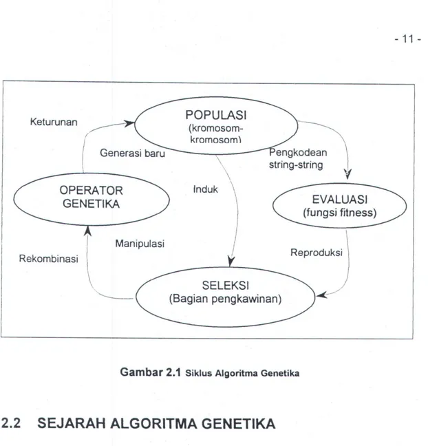 Gambar 2.1  Siklus Algoritma Genetika 