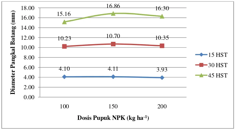 Gambar5. Diameter Pangkal Batang pada Berbagai Dosis Pupuk NPKumur 15, 30 dan 45HST.