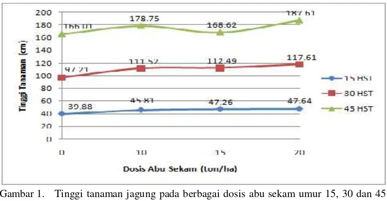 Gambar 1.Tinggi tanaman jagung pada berbagai dosis abu sekam umur 15, 30 dan 45