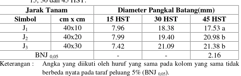 Tabel 10. Rata – rata Diameter Pangkal Batang pada Bebagai Jarak Tanam umur15, 30 dan 45 HST.
