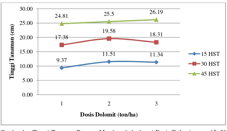 Gambar 1.Tinggi Tanaman Bawang Merah pada berbagai Dosis Dolomit umur 15, 30dan 45 HST