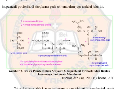 Gambar 2. Reaksi Pembentukan Senyawa 5-Isopentenil Pirofosfat dan Bentuk