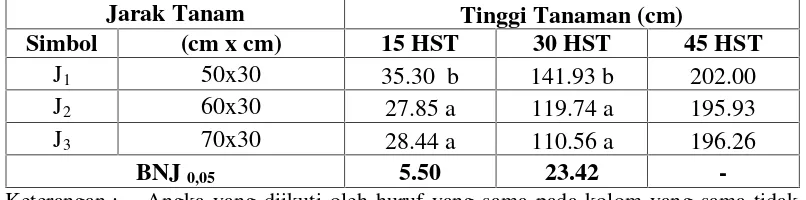 Tabel 2. Rata-rata Tinggi Tanaman Jagung pada Berbagai Jarak Tanam Umur 15,30 dan 45 HST.