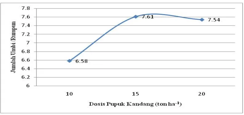 Gambar 3.  Jumlah Umbi per Rumpun Tanaman Bawang Merah pada Berbagai Dosis Pupuk Kandang 