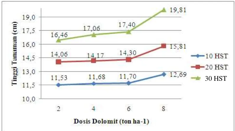 Gambar 3. Tinggi Tanaman Sawi pada Berbagai Dosis Dolomit umur 10, 20 dan30 HST
