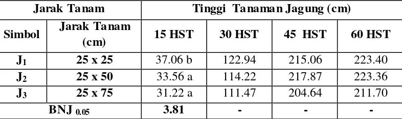 Tabel 2.  Rata-rata Tinggi Tanaman JagungPada Jarak Tanam Umur  15, 30, 45 dan 60 HST