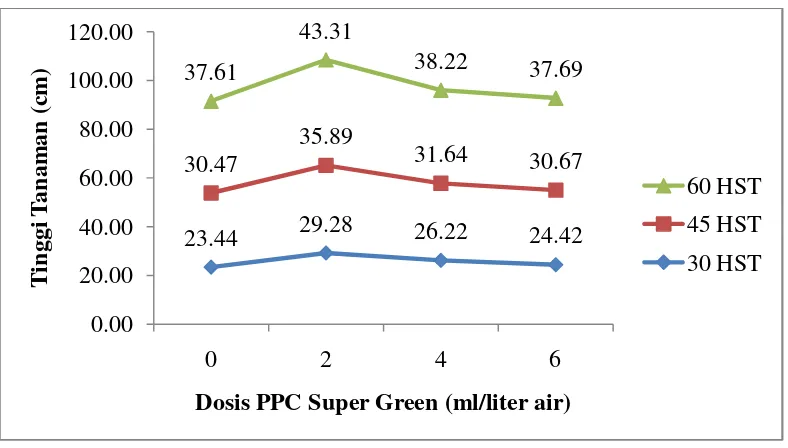 Gambar 6. Tinggi Tanaman Cabai pada Berbagai Dosis PPC Super Green Umur30, 45 dan 60 HST