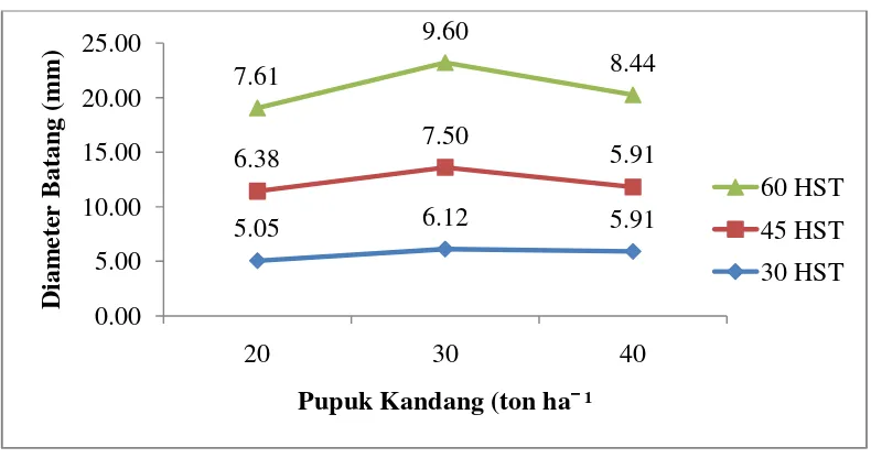 Gambar 6. Diameter PangkalBatang Tanaman Cabai pada Berbagai Dosis PPCSuper Green Umur 30, 45 dan 60 HST