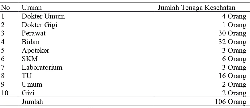 Tabel 1.1 Struktur Organisasi Puskesmas Johan Pahlawan
