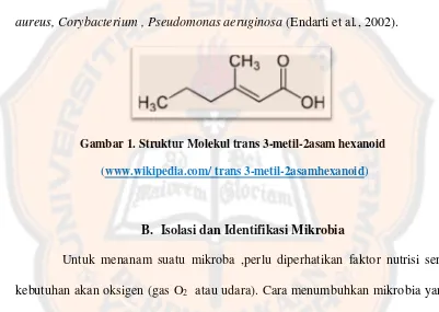 Gambar 1. Struktur Molekul trans 3-metil-2asam hexanoid 
