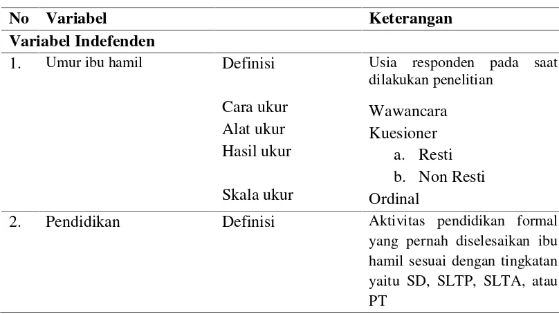 Tabel 3.1 Definisi Operasional