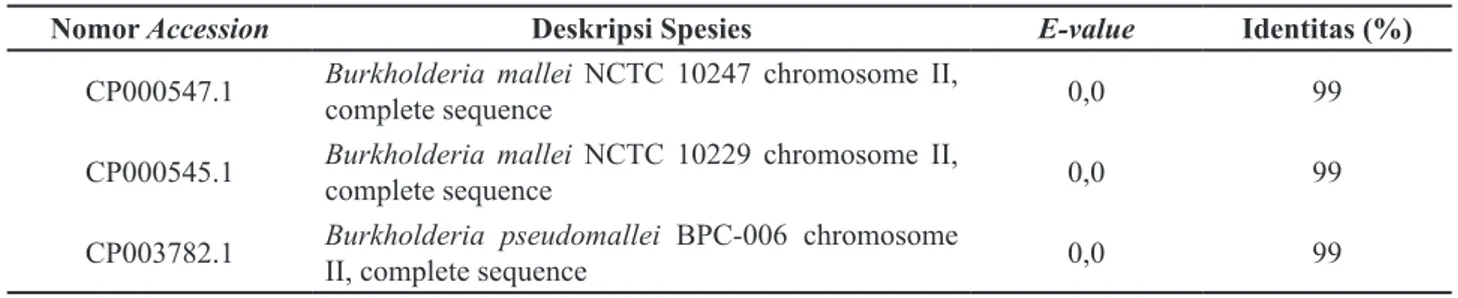 Gambar 3  Hasil sekuensing gen β-1,4-glukanase B. cepacia strain Biogen CCE76 Keberhasilan amplifikasi tergantung pada 