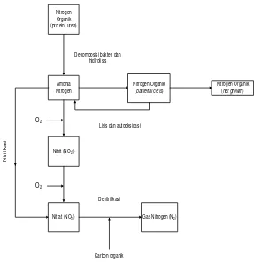 Gambar 2. 1 Diagram Alir Degradasi Senyawa Nitrogen Sumber : Metcalf and Eddy, 2003 