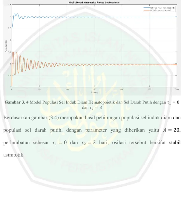 Gambar 3. 4 Model Populasi Sel Induk Diam Hematopoietik dan Sel Darah Putih dengan 