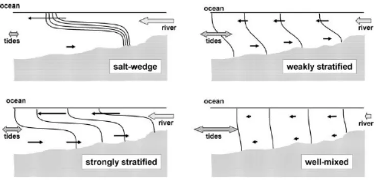 Gambar 2.3 Klasifikasi estuari berdasarkan struktur vertikal salinitas (Valle-