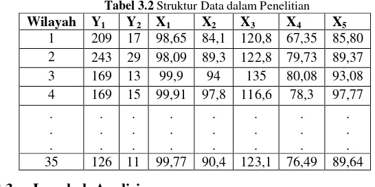 Tabel 3.2 Struktur Data dalam Penelitian 