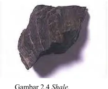 Gambar 2.4 Shale. 