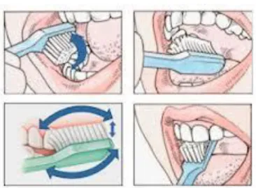 Gambar 12. Panduan cara menggosok gigi  