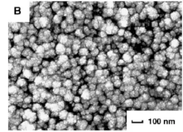 Gambar 4. Nano partikel Paladium yang ditumbuhkan diatas karbon glass 