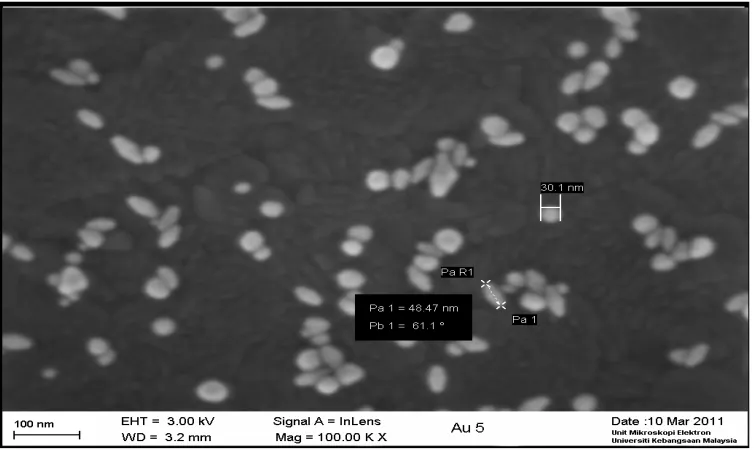 Gambar 5.7. Bentuk nanopartikel emas yang ditumbuhkan pada kondisi HCl, asam askorbat dan CTAB maksimum 