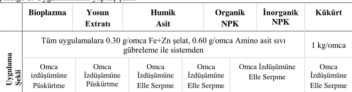 Çizelge 2. Uygulamaların yapılış şekli  Bioplazma  Yosun   Extratı  Humik  Asit  Organik  NPK  İnorganik NPK  Kükürt  Uygulama Şekli