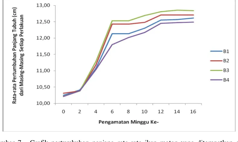 Gambar 7.  Grafik pertumbuhan panjang rata-rata ikan motan yang ditempatkan di Kolam Fakultas Perikanan dan Ilmu Kelautan Universitas Riau dari masing-masing perlakuan setiap pengamatan  