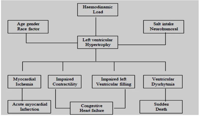 Gambar 1. Skema Patofisiologi hipertrofi ventrikel kiri 5 