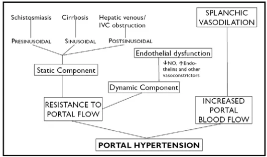 Gambar 5.Patofisiologi hipertensi portal (Choudury J 2006) 