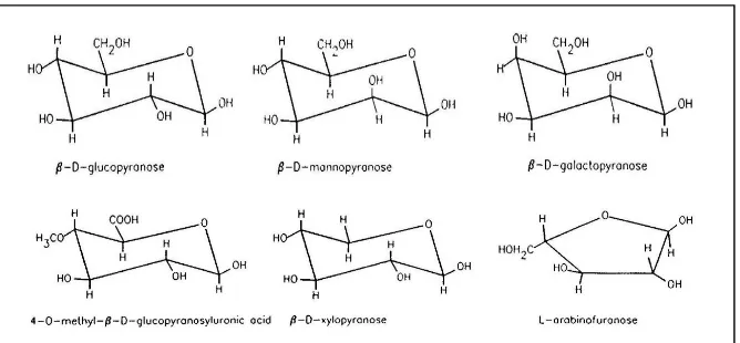 Gambar 2.2 Monomer Gula Hemiselulosa [Bierman 1996] 