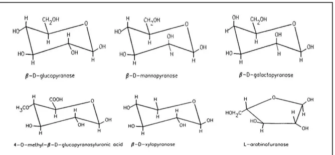 Gambar 2.2 Monomer Gula Hemiselulosa [Bierman 1996] 