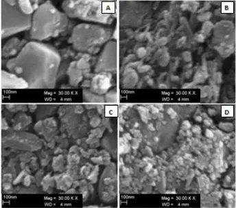 Gambar 4.9.   Permukaan sampel dilihat dengan SEM,(A) SGKK dan PVDF, (B) SGKK, PVDF dan carbon nanotube, (C) SGKK, PVDF dan grafit, (D)  SGKK, PVDF dan karbon hitam